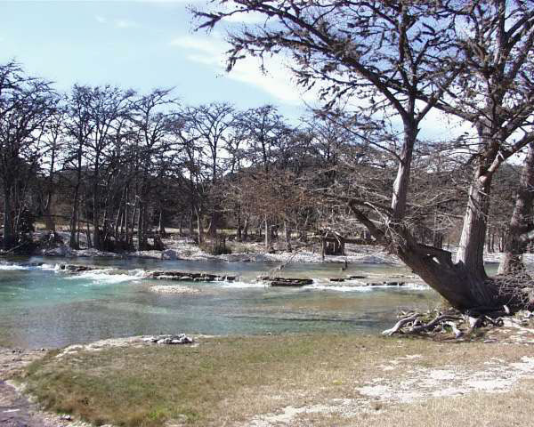 IMG00019
