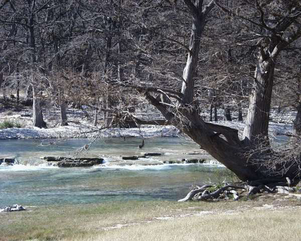 IMG00021