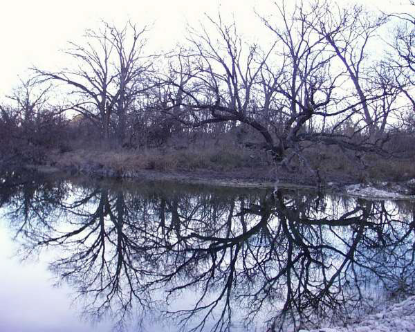 IMG00028