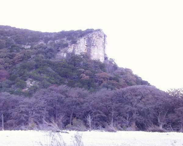 IMG00029