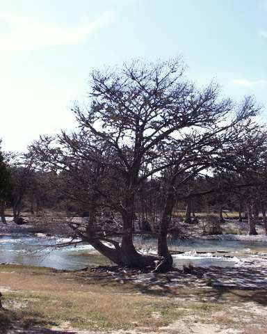 IMG00054