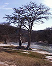 IMG00008
