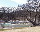 IMG00020