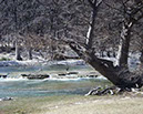 IMG00051