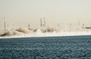 _N300397