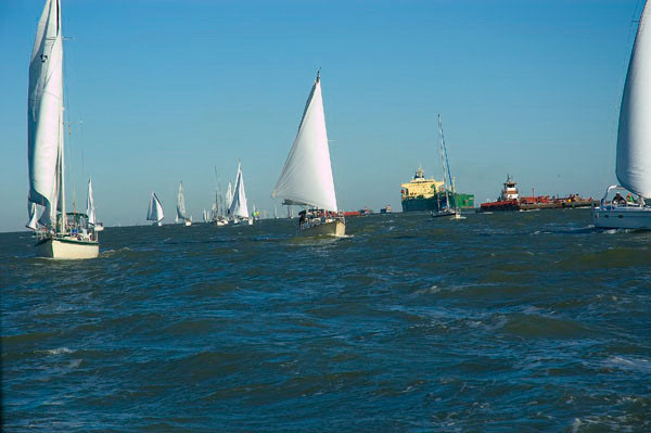 DSC_0245
