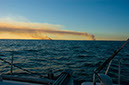 DSC_0331