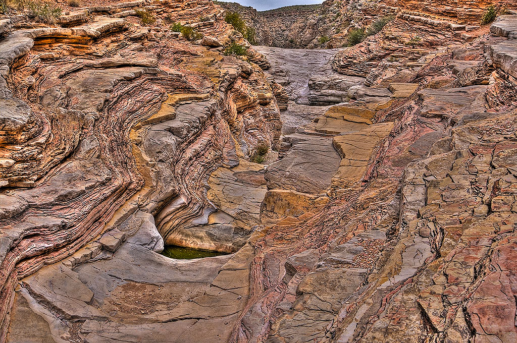_d309507_08_11_10070med_1