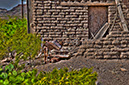 _d308754_5_7_1
