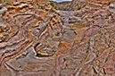 _d309507_08_11_10070med_1