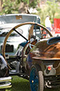 _DSC4566