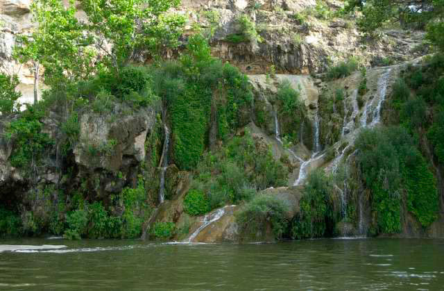 IMG00010