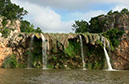 IMG00012