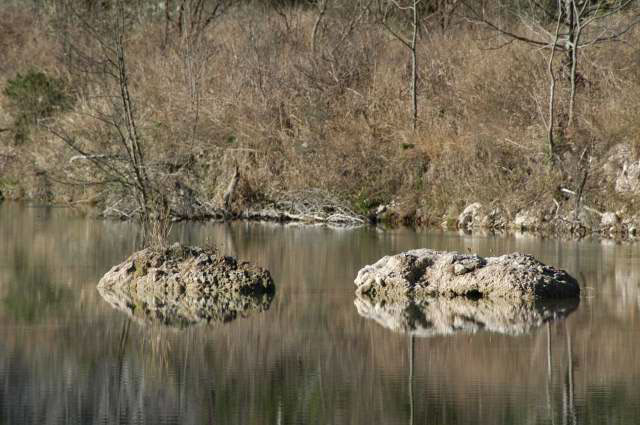 IMG00023