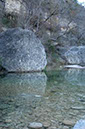IMG00006