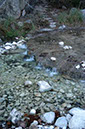 IMG00008