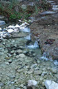 IMG00009