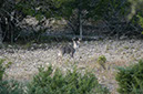 IMG00017