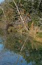 IMG00019