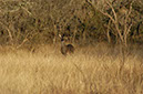 IMG00024