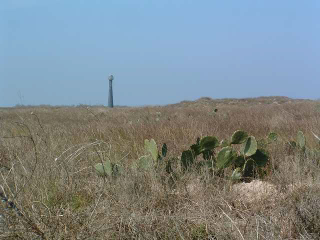 IMG00017