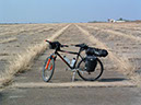 IMG00009