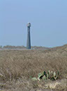 IMG00018