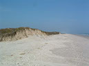 IMG00019