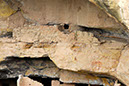 _DSC5464