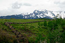 _DSC5752