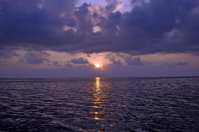 DSC_8200
