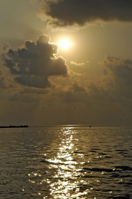 DSC_8232