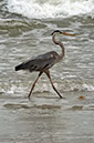 DSC_8345