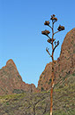 DSC_2928