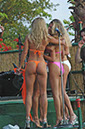 DSC_3233