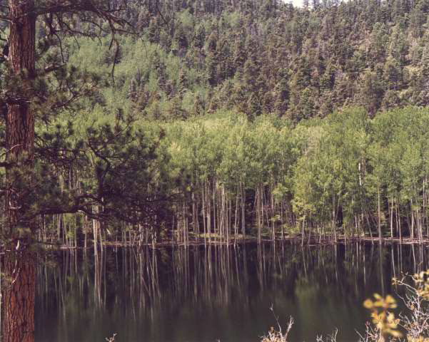 IMG00004