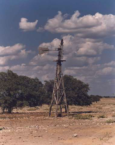 IMG00006