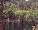IMG00004