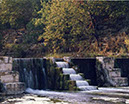 IMG00005