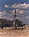 IMG00006