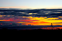 _20D0576