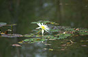 IMG00071