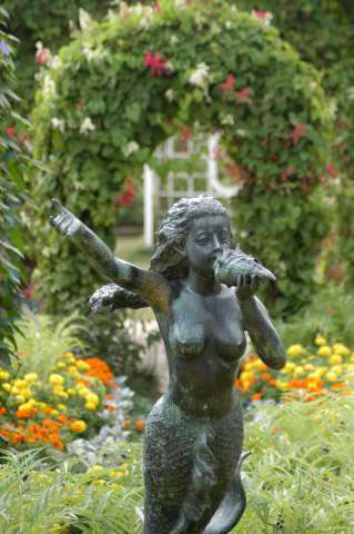 IMG00101